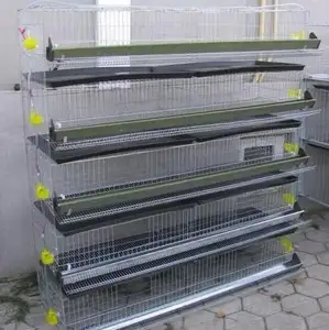 Laying Hen Farming Equipments Full Automatic H Type Chicken Battery Layer Poultry Cage for Sale