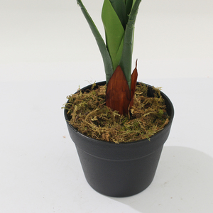 Albero Artificiale di Difennbachia Sempreverde, Pianta Finta in Plastica 90CM, Verde, Ecologico, Durevole, per Uso Interno, Quasi Naturale - Product Image 3