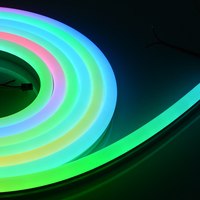 Tira de LED de neón personalizable 48d/M 12V 10 W/m Tubo de tira de LED de neón colorido de para iluminación única para el hogar y los negocios