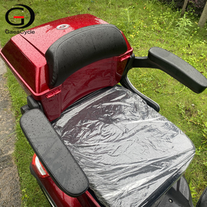 Scooter à 3 roues pour adultes Gaea, prix de gros, moteur 60V 500W - Product Image 3