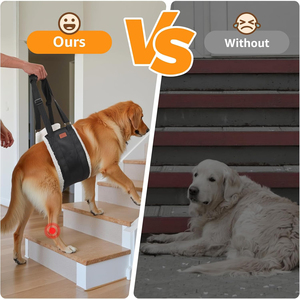 Imbracatura regolabile per cani imbracatura per cani per cani di grossa taglia supporto per sollevamento morbido e imbracatura per le gambe posteriori deboli - Product Image 2