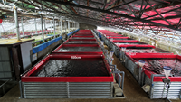 Tilapia-Garnelen-Wels-Fischzuchtmaschinen RAS-Kreislaufanlagen für Aquakultur Brutstationen Fischzuchtbecken