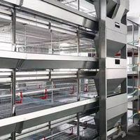 Nouveau Bestseller : Poulailler H-Type entièrement automatique grande capacité pour poulets et canards, avec système d'évacuation des excréments, en plaque galvanisée à chaud, longue durée de vie