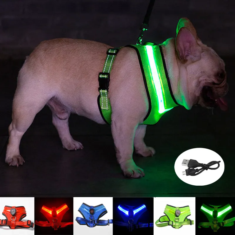 Coleira de cachorro respirável, fabricante por atacado s m l azul verde vermelho led