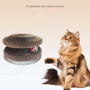 Nuovo Giocattolo Magico per Gatti che Cambia Forma, Tiragraffi Interattivo in Cartone per Gatti, Giocattolo per Gattini - Product Image 3