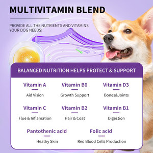 OEM 15-in-1 multivitaminico morbido mastica per cani cibo per animali domestici erbe probiotici integratore masticabile per la salute della pelle di intestino cura del cuore - Product Image 3