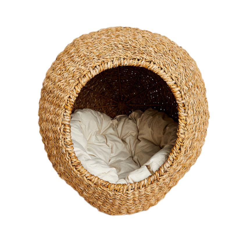 ธรรมชาติ