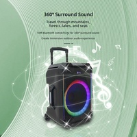 Enceinte trolley d'extérieur 12 pouces, audio mobile pour scène et KTV, avec microphone sans fil Bluetooth, basses puissantes, pour danse carrée