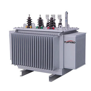 Трансформаторы распределительные электрические Topyro 50 кВА, 100 кВА, 200 кВА, 250 кВА, 300 кВА, 400 кВА, 800 кВА, 1000 кВА, 3000 кВА: цена - Product Image 2
