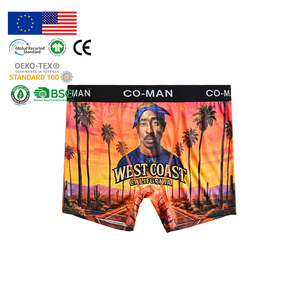Caleçons et boxers pour hommes en coton premium, couleur terre cuite moderne, haute élasticité, style anime, coupe classique, MOQ flexible, <span class=keywords><strong>sous</strong></span>-vêtements masculins - Product Image 1