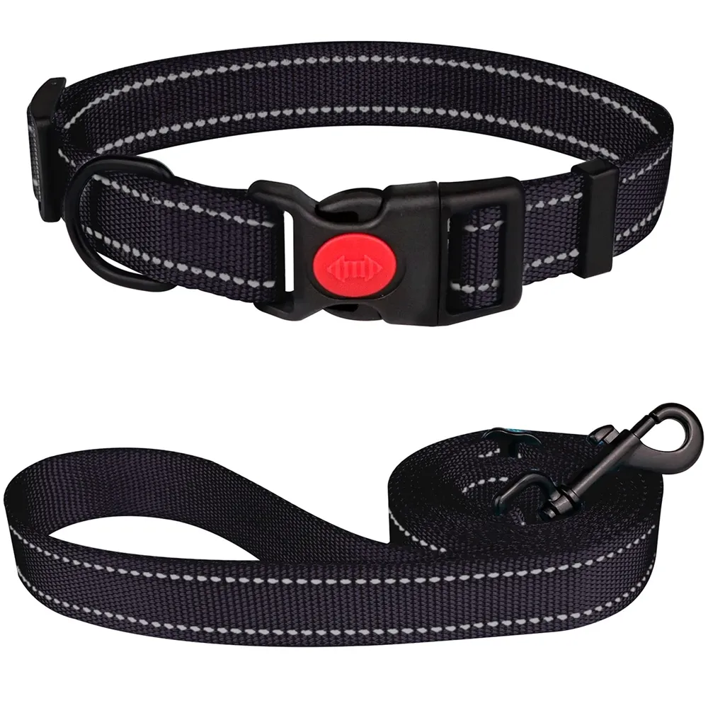 Hot Selling Led Accessory Dog Leash Collar For Outdoor