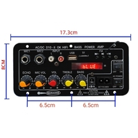D10-II Mono Ev Amplifikatörü 35W, Radyo DC12V/24V AC220V USB TF Çift MIC Girişi Uzaktan Kumanda ile