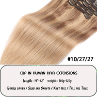 Extension de cheveux humains 100% naturels vierges, Double étiré avec clips