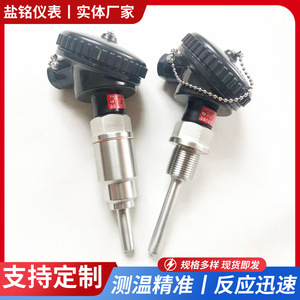 Salt-Ming Temperature Sensor WZPF-230 PT100 Screw Terminal Corrosion Resistant Acid Alkali Resistant - Product Image 5