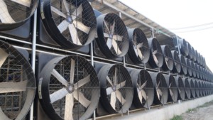 Energy Efficient Fiberglass Fan with Direct Drive Motor, High Airflow Wall Fan for Dairy Farm and Greenhouse - Product Image 3