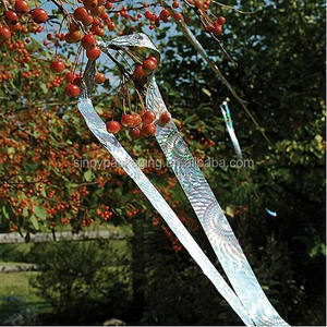 Cinta holográfica <span class=keywords><strong>de</strong></span> doble cara con láser plateado para disuadir aves, para protección <span class=keywords><strong>de</strong></span> <span class=keywords><strong>frutas</strong></span>, repelente <span class=keywords><strong>de</strong></span> aves y cinta repelente <span class=keywords><strong>de</strong></span> aves - Product Image 6