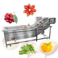 Oceaan Multifunctionele Kleine Bubbel Wasmachine Sla Verse Fruitgroente Wasmachine