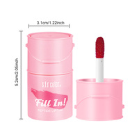 Logo personnalisé, 6 couleurs, maquillage minéral en gros, teinte à lèvres luxueuse au peptide, gloss à lèvres longue durée, imperméable, rouge à lèvres hautement pigmenté