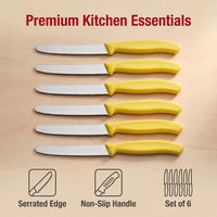 TOALLWIN Ensemble de 6 couteaux à steak en acier inoxydable avec lame dentelée 3Cr13 et manche ergonomique en PP pour restaurant, cuisine, vente en gros