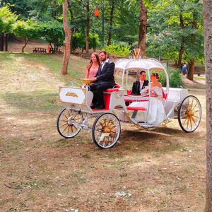 Chariot électrique en forme de citrouille avec sièges confortables, chariot de balade vintage pour parc d'attractions et activités de plein air - Product Image 2
