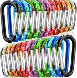 STURME Aluminum D Ring Carabiners Clip D Shape Spring Loaded Gate <b>Small</b> Keychain Carabiner Clip Set Outdoor Camping Mini <b>Lock</b> Sn - Product Image 1