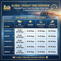 Transitaire maritime FCL économique pour les États-Unis, expédition de conteneurs 20GP, 40GP, 40HQ de Chine vers les États-Unis avec 12 ans d'expérience