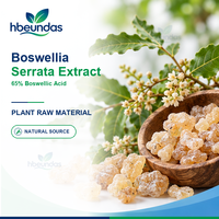 Extrait de Boswellia Serrata HBEUNDAS 65% Acide Boswellique Qualité Alimentaire Ingrédient d'Extrait Végétal en Gros pour Marque Privée OEM
