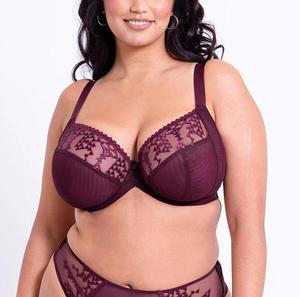 <span class=keywords><strong>Taglie</strong></span> forti <span class=keywords><strong>reggiseno</strong></span> da donna <span class=keywords><strong>di</strong></span> alta qualità in pizzo Sexy completo intimo intimo taglia UK 30-38 DD E F FF G GG H HH Cup da donna - Product Image 1