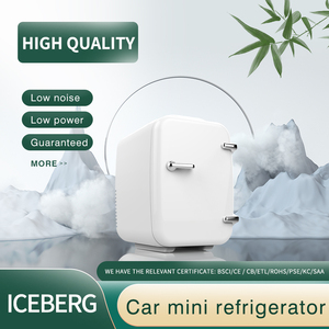 Mini-réfrigérateur thermoélectrique portable 5 litres 12V/220V vert en plastique pour camping et usage domestique, idéal pour les soins de la peau – Vente en gros à prix réduit - Product Image 6