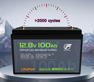 12V 12,8V 100Ah 1280Wh 3000-cycli LiFePO4 Deep Cycle Accu Pack FT12100 -20~60 voor zonne-energie, camper en kamperen - Product Image 2