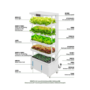 Vegetable and Fruits Irrigation Hydroponics Equipment Vertical Hydroponic System with Pump Easy to Operate for Balcony - Product Image 5