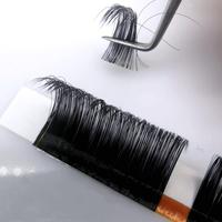 Extensions de cils de volume russe d'épaisseur 0.15mm noir mat qualité supérieure Dd Curl cils individuels 25mm plateaux simples