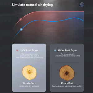 Máy sấy thực phẩm công nghiệp UCK 80 tầng, dùng cho ớt, rau củ, nấm, trái cây - Product Image 3