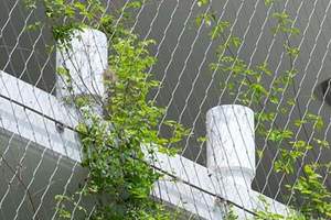 Maille de sécurité <span class=keywords><strong>creuse</strong></span> de maille de câble métallique d'acier inoxydable de 10mm 30mm 50mm 316 avec la modélisation 3D et le traitement thermique - Product Image 4