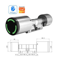 Großhandel Tuya Smart-Schließzylinder, IP67 Wasserdicht, TT Lock, NFC, RFID, Einstellbar für den Außenbereich