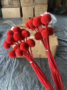 Fleurs séchées naturelles en promotion pour la décoration florale de mariage et de maison : Craspedia Golden Ball et Billy Balls séchées pour une décoration vintage. - Product Image 6