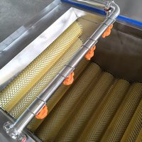 Industriële borstelrolwasmachine voor fruit- en groenteverwerkingslijn, multifunctioneel SCHILLEN