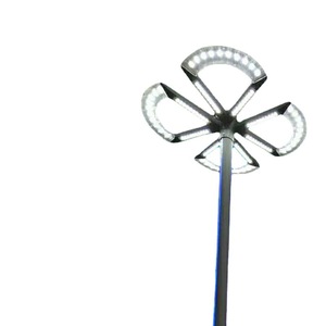 Lampadaire LED en alliage d'aluminium, étanche IP65, lumière du jour 5000K, AC 220V, distribution de type III, garantie 10 ans, capteur de mouvement, IRC - Product Image 2