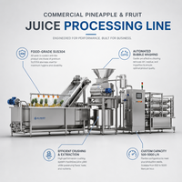 Ligne de production automatique d'eau de coco, extraction à froid, stérilisation UHT, remplissage aseptique, automatisation PLC, usine de boissons