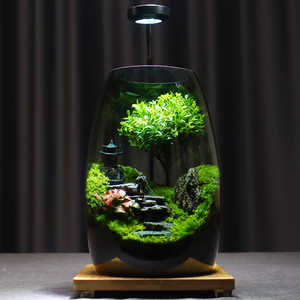 Kit terrario in vetro verde stile Country con Design del pavimento in fibra di muschio conservato - Product Image 3