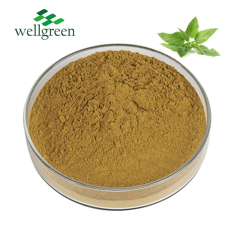 Estratto di 10:1 vegetale naturale Wellgreen alla rinfusa di foglie di ortica estratto di ortica P.E