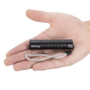 Mini 365&amp;395nm <strong>UV</strong> <strong>Flashlight</strong> USB Rechargeable Blacklight Torch Cat Dog Urine Tinea Marker Money Ore Scorpion Leakage Check Lamp - Product Image 5
