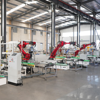 Máquina Robótica Industrial para Carga de Cartones con Productos Pesados e Irregulares