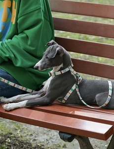 Nuevo estilo, moda de lujo, respetuoso con el medio ambiente, fácil de caminar, perro, gato, estilo H, juego de arnés y correa para perros, cuerda de plomo ajustable de 1,2 m - Product Image 5