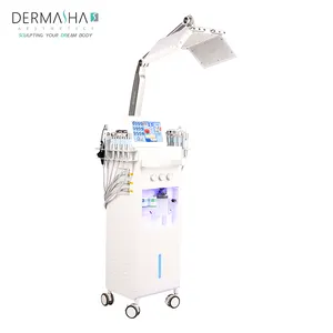 Professionnel 15 in 1 Multifunction Beauty Salon Equipments Big Screen Microdermabrasion Facial Skin Care Machine
