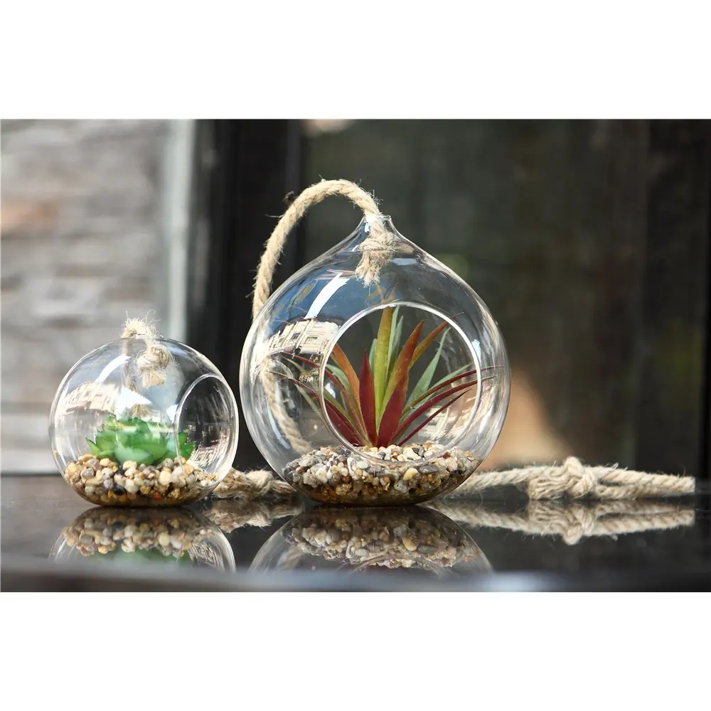 Opknoping Glazen Vazen Bloem Plant Decoratieve Lamp Vorm Voor Terrarium Vaas Plaat Potten Groothandel