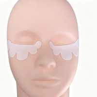 Commande en gros Usine chinoise Patchs jetables sous les yeux pour extensions de cils Fournisseurs de produits de beauté Direct usine Bande adhésive pour extensions de cils