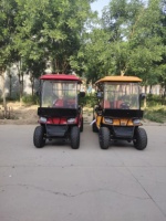 Voiturette de golf électrique tout-terrain surélevée 4 places avec pare-brise, buggy électrique de tourisme couleur personnalisée pour hôtel-resort