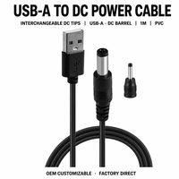 Câble d'alimentation USB-A vers DC 1m, prise jack DC interchangeable, cordon en PVC pour routeur, caméra CCTV, bande LED