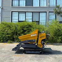 Chinesische Benzin-Raupendumper-Fabrik: Mini-Dumper-LKW mit Selbstladung, Hydraulischer Mini-Garten-Dumper mit Benzinmotor